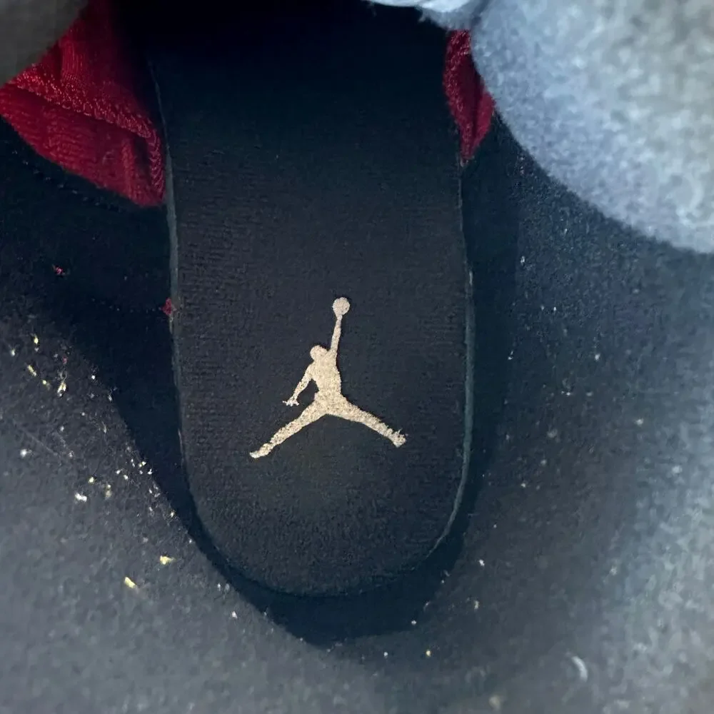 Jordan retro 12